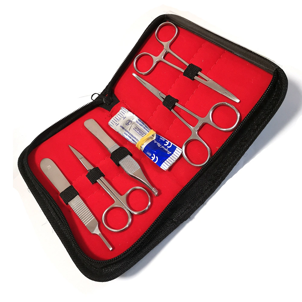 10 Pieces Stainless Steel Surgical Instruments Veterinary Suture Practice Kit