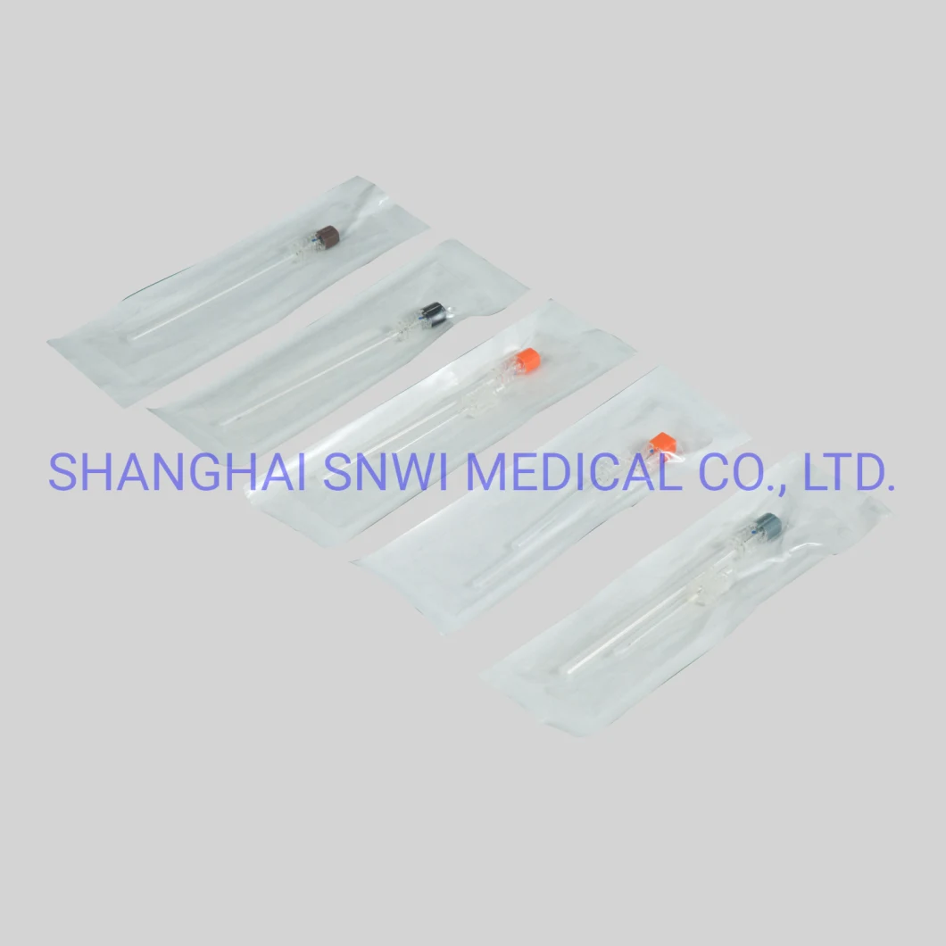 Echogenic Sterile Injection Anesthetic Medial Epidural Spinal Needle